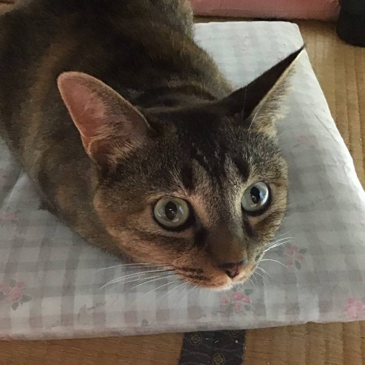 F1a2b778 6f48 48bb 8809 1d1d535edcce 1692102634879