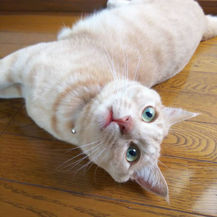 F1a2c17e b284 4c3f addf bc429e9d2d9f 1596664047675