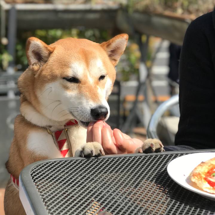 F1a2d0e3 8adf 42ab 8e6b 640235a56ef0 1523713102465