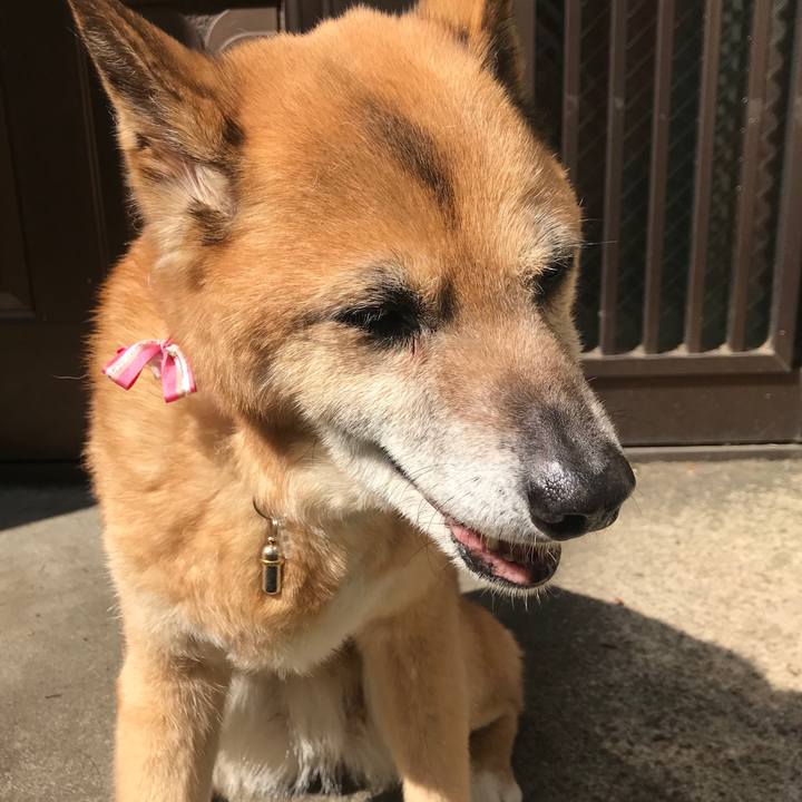 F1a2fdc0 d473 4d3c 921b bbef975469d8 1526083005228