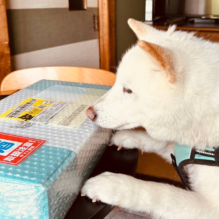 F1a3060f 571e 42f5 9f7e b44611439fd2 1686974037480