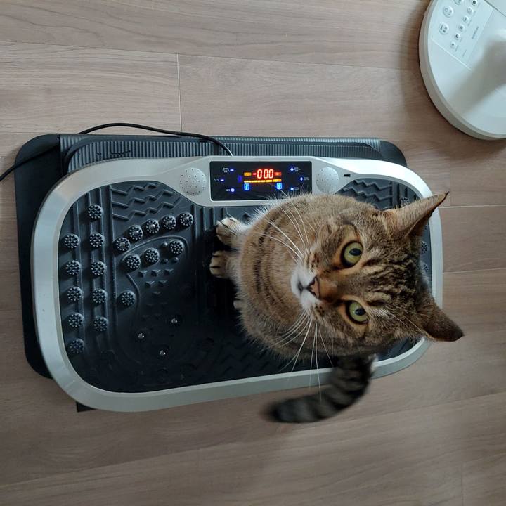 F1a354d3 2747 4802 85b1 a0acfc7156fb 1662160527298