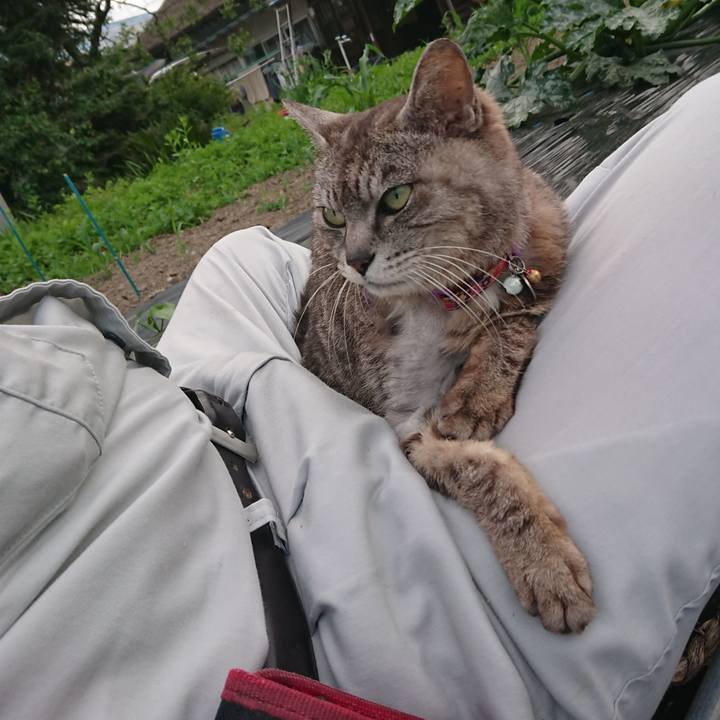 F1a36e34 3841 4771 a261 56be9743980a 1592559910891