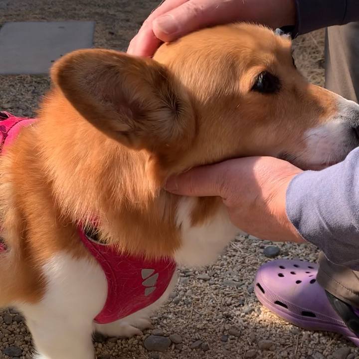 F1a37816 b5f4 4928 a547 ae4939f733d1 1677478125800