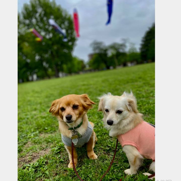 F1a382d5 6804 4eab bb5d 5f6496c18087 1651205445222