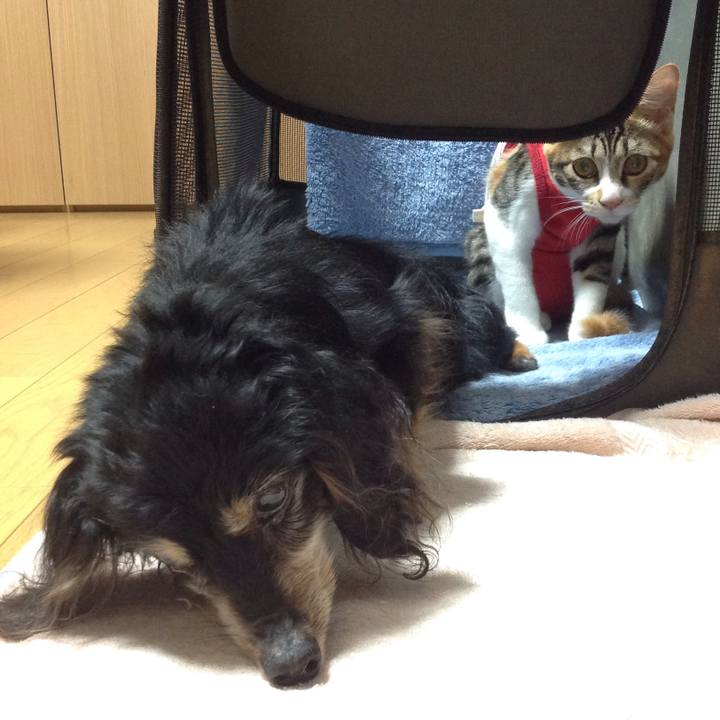 F1a3a231 8a5a 4943 8c88 088b1cb0a862 1634017776668