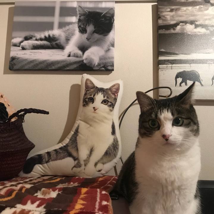 F1a3f26b 5afc 4903 99d7 208419a4a27c 1541075944028