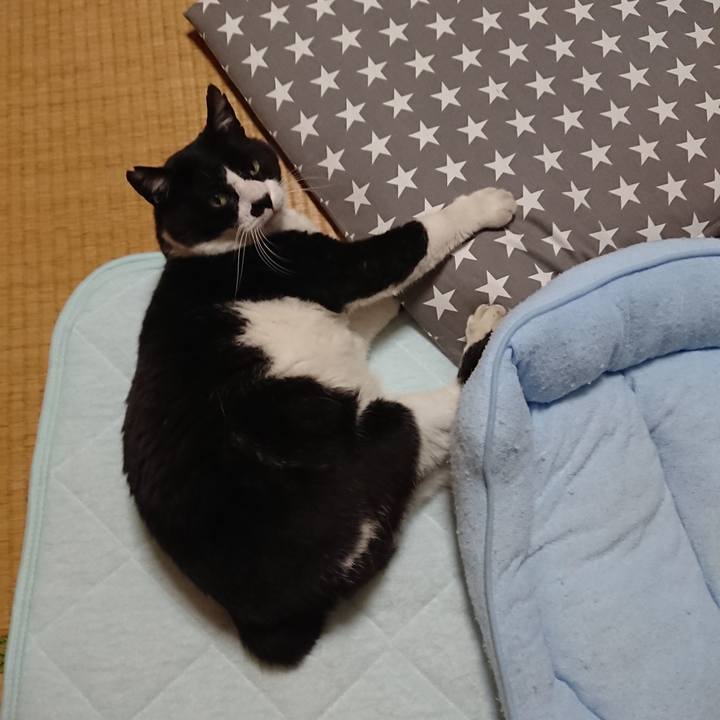 F1a40506 ea96 4540 a5e1 24f881b4bc19 1526946677703