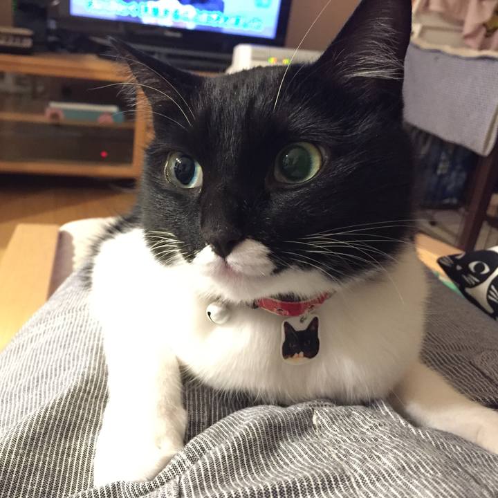 F1a4119b 21aa 4f9b 97e0 23a7dba4edaf 1525570023649