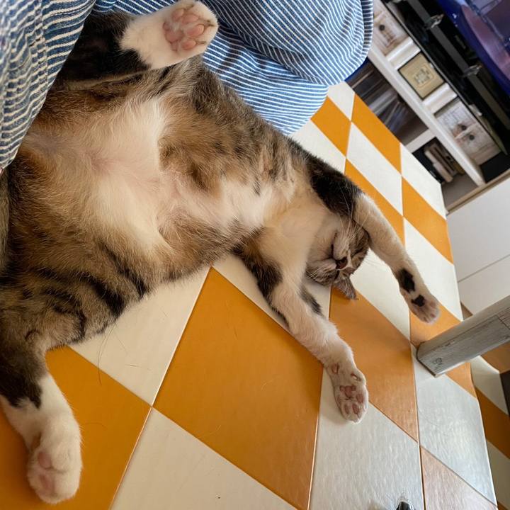 F1a422eb ba38 4004 91bb d6bee4b12ca1 1695124435010