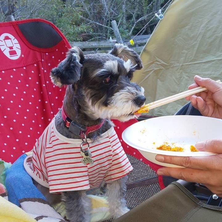 F1a42d69 b3e3 44b8 bfe2 d37bb3ac7815 1728722714639