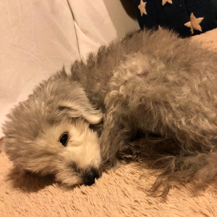 F1a44697 254a 4825 84e1 3a9cca852688 1642849966749