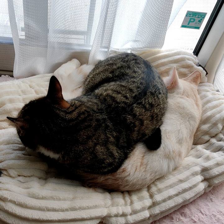 F1a44df2 efc9 4b11 b1df f2cab085405e 1646627067404