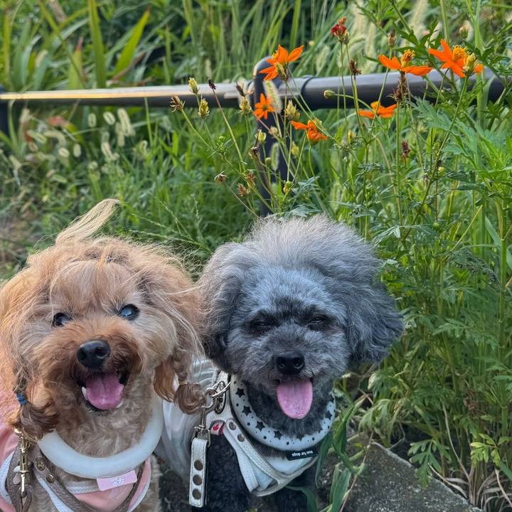 F1a4b715 fa24 4f4b b64f bf8edc012b27 1755563550725