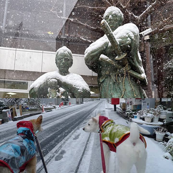 F1a4e594 4cfa 4baf ab58 224582ce0db0 1770518845681