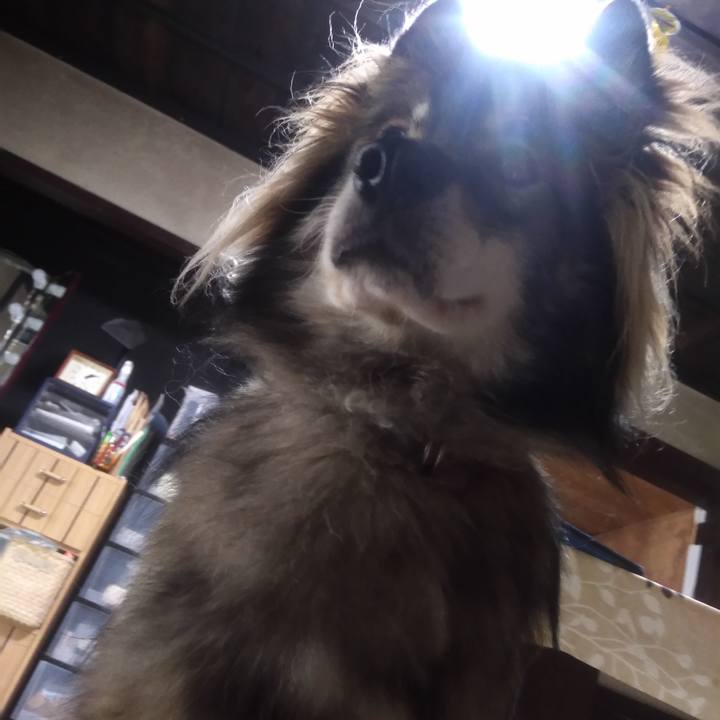 F1a4f4e3 9b11 4d5f 91b6 7a89f873ed30 1600921131963