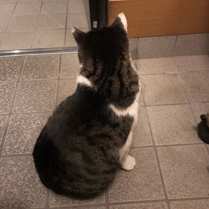 F1a54eb7 8212 43cf 9fc6 dc92cb086792 1513862713238