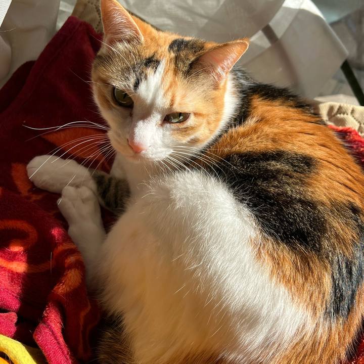 F1a55465 ef65 465f b8c1 0826b9d92087 1767843736821