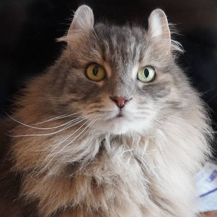 F1a5cfcc a992 4edf 9e3c ae2664671150 1767426929008