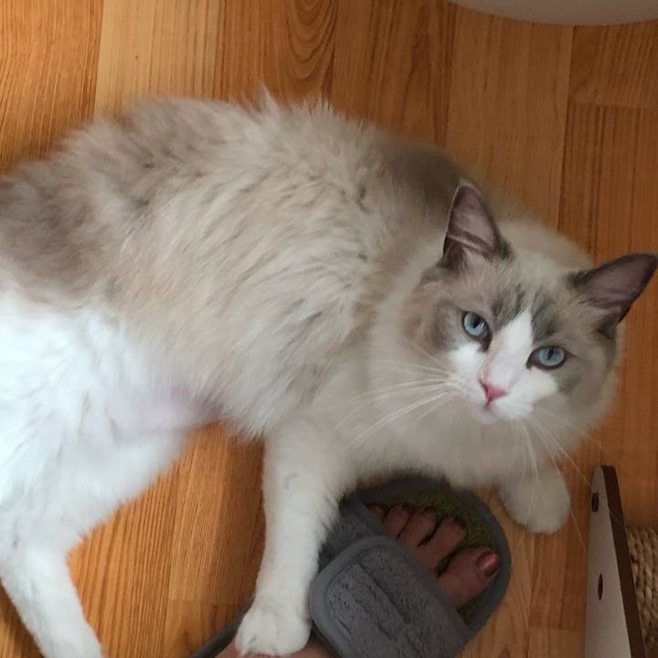 F1a5d869 13fb 4e79 9b12 48dcc0cf4573 1569636398062