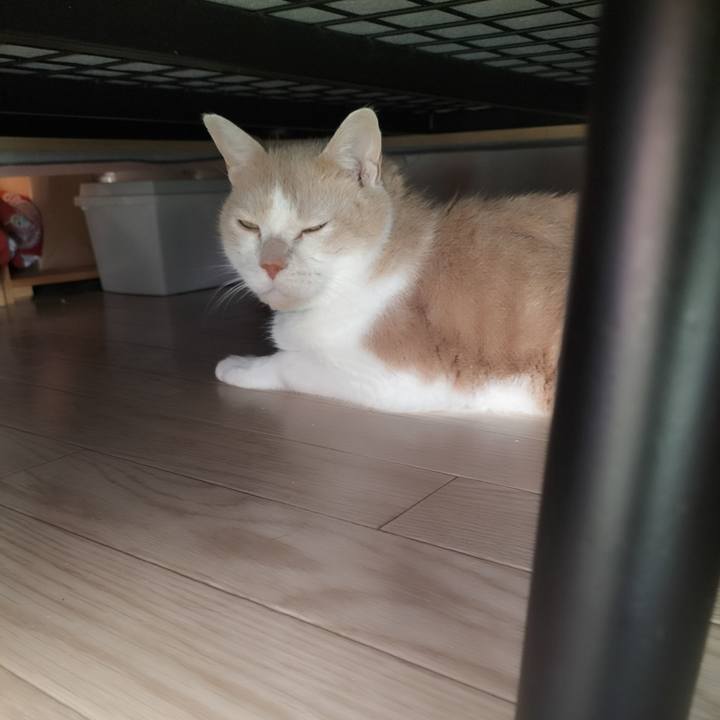 F1a66e79 1f69 41f3 a2ab 4e8b88d93b29 1660862502453