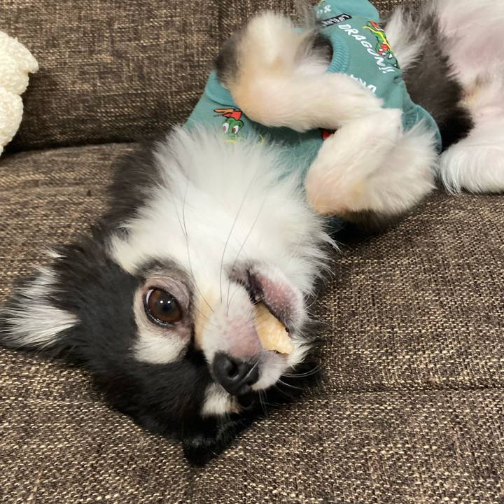 F1a6a5b9 100c 4e70 a78e d585767b37bc 1697374876286