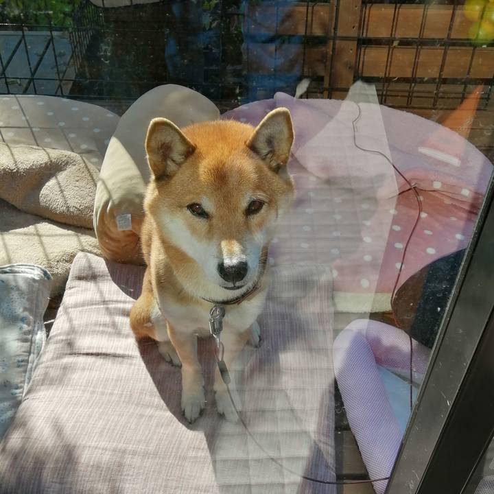 F1a6acb7 ae11 436a 9d16 796bb47c972e 1604538086910