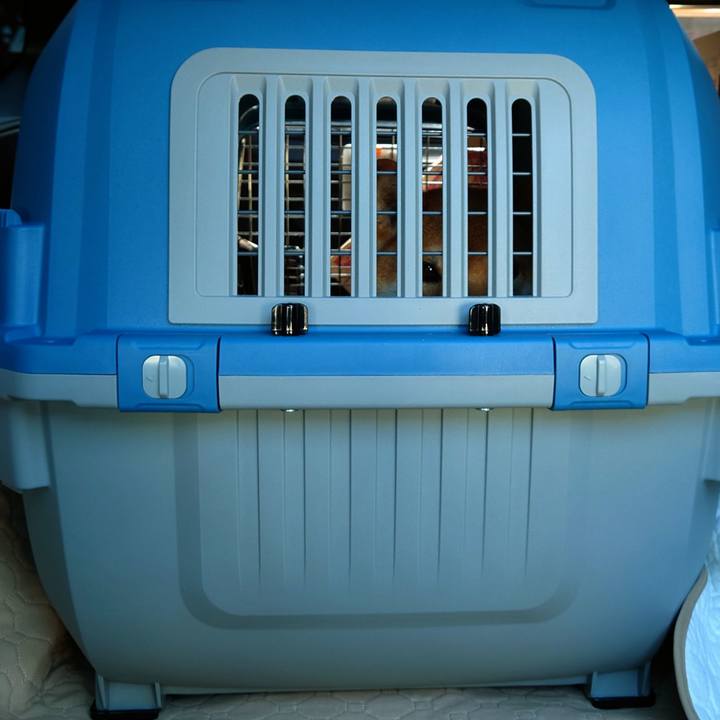 F1a6e6a7 c569 4f0b 9e22 30920e5da333 1764585025568