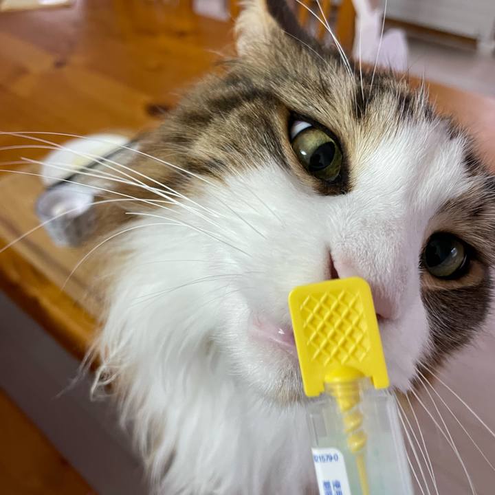 F1a6f821 2c68 4dd5 a2f5 f2e565f3e13b 1686865186875