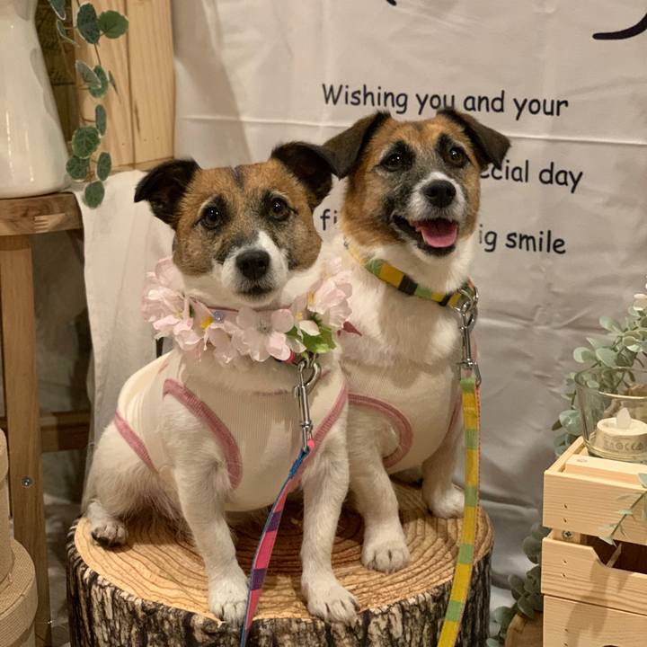 F1a75af6 9a19 4340 85e5 3bfd877c89e8 1647692063013