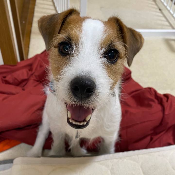 F1a765a2 c92f 483e aa15 d5cccd4406c4 1765720032008