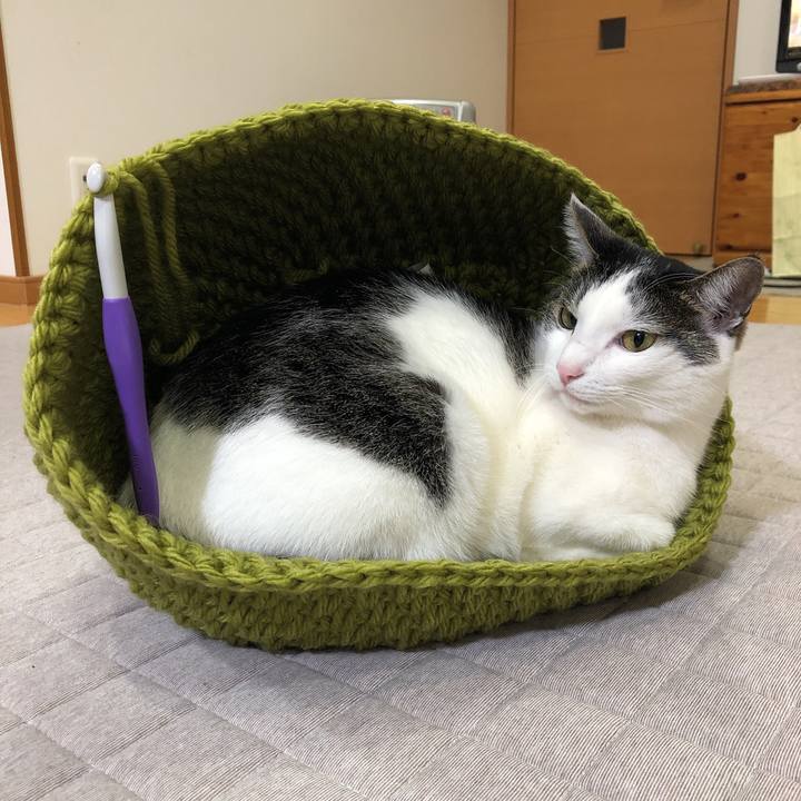 F1a77fb3 0438 4150 970d 95bda5efd515 1636462942350