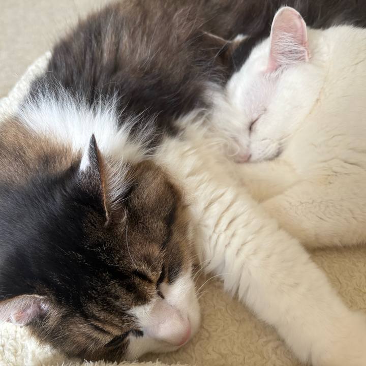 F1a79b7f 1ef0 43c7 8f01 0d2dd0e69285 1742009719180