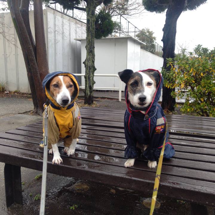 F1a7fc05 a5ee 4f82 9830 ec65759736ef 1705810261616