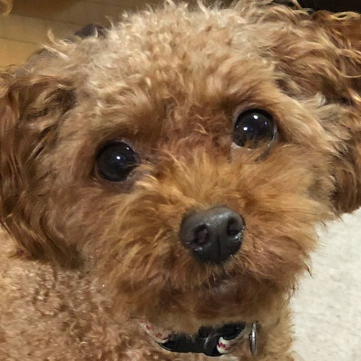 F1a80465 c3d5 4654 a817 94e754e602b9 1535882653979