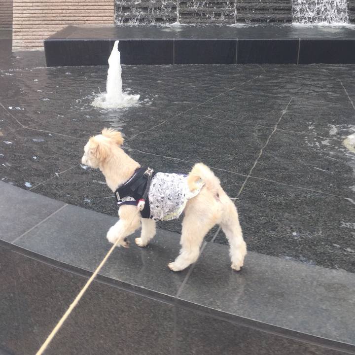 F1a86244 e710 4d15 9bec 07efaed68d18 1541671063831