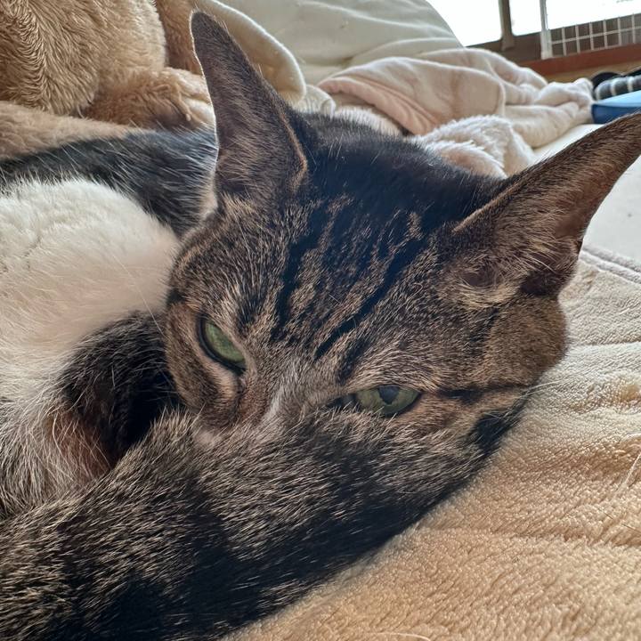 F1a889bf ecd0 4125 8a26 2db6472689e3 1669254958767