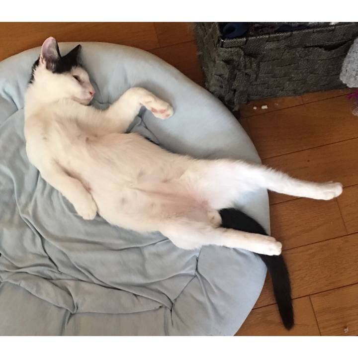 F1a8b660 b4ae 46d9 a1cc 1e3947924609 1535077740450