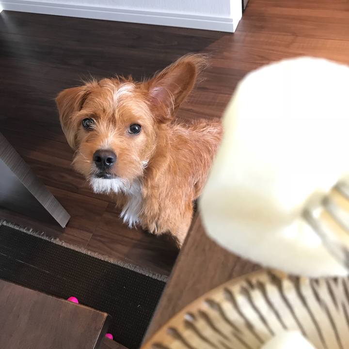 F1a8dc4d 7892 4d9d 8b29 f8766b19f0ff 1536125804259