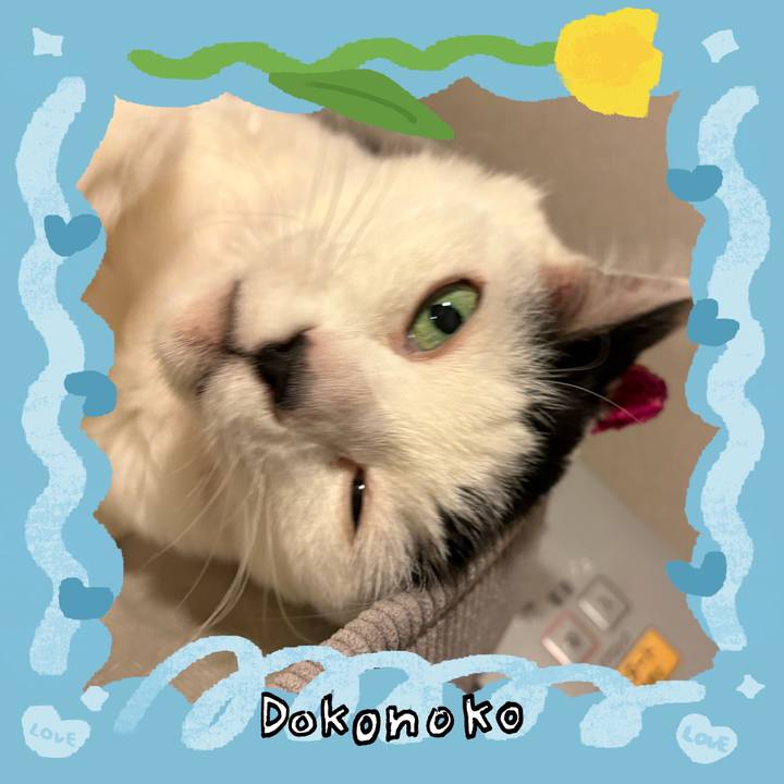 F1a8dfee f6a7 4348 a5bd 86e98ac3667f 1772464667061