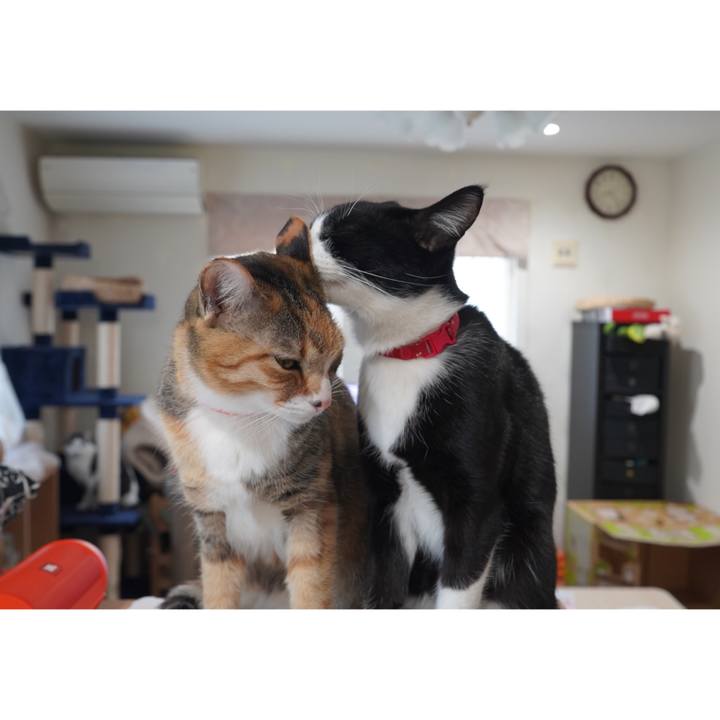 F1a91f10 4106 4dc4 ab93 edc1b7cfc6a3 1611212528546