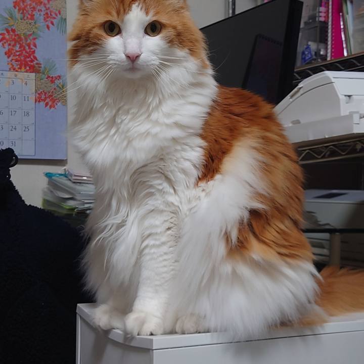 F1a96ebf 6a18 4cae b03f 3110a24cac50 1640227422144