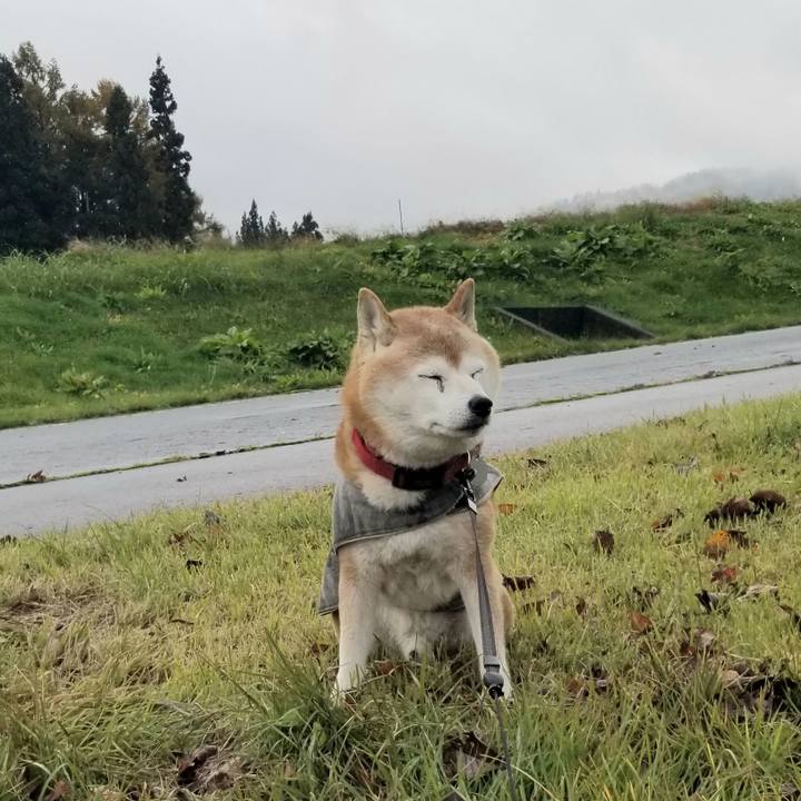 F1a98d41 1239 457c 9a1b dfc3a3106c22 1731899153068