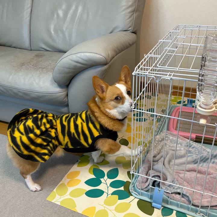 F1a9ae00 8c5a 47cb 95bb 3cc6888262ad 1770341149674