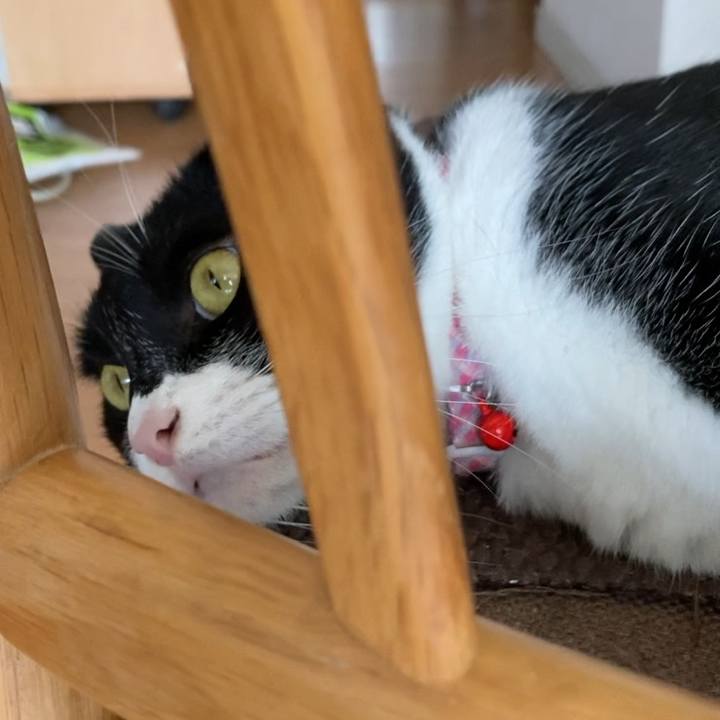 F1a9c19a d0bd 462b 91a2 7d3e6b3c8199 1658480182811