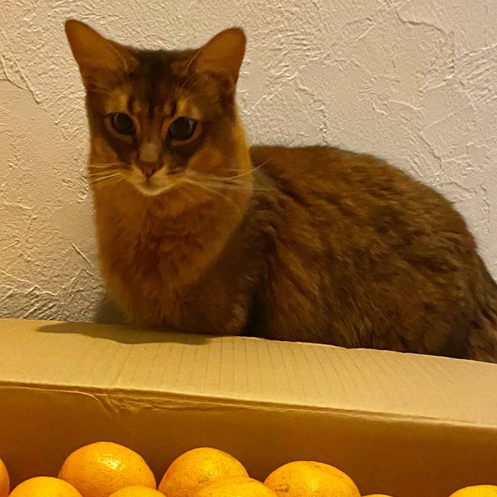 F1a9d874 e0ef 463c 831c a3b7a927d897 1636020210493