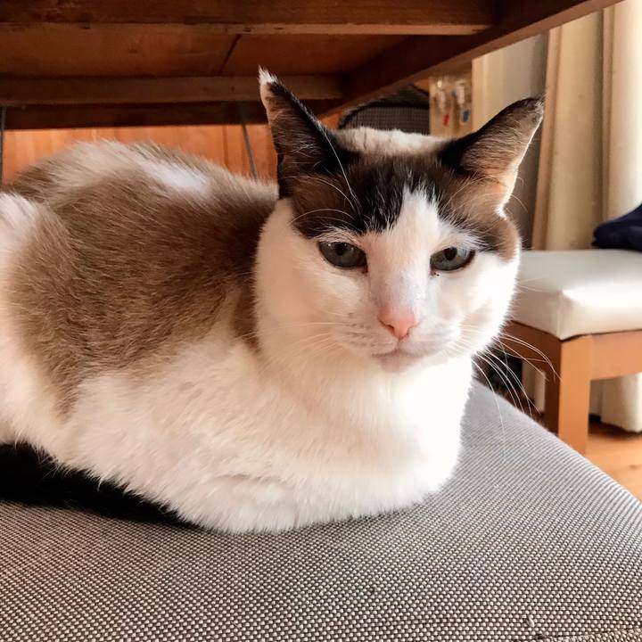 F1a9e84d cc9d 444c ab21 92968e6a6c94 1583985516125