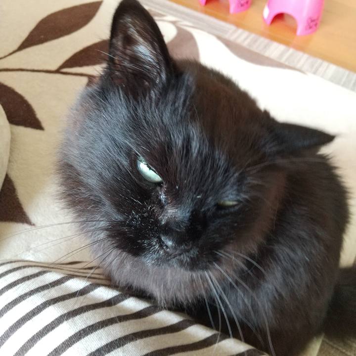 F1aa0e70 c994 423f a88f c14635eaa189 1619833408526