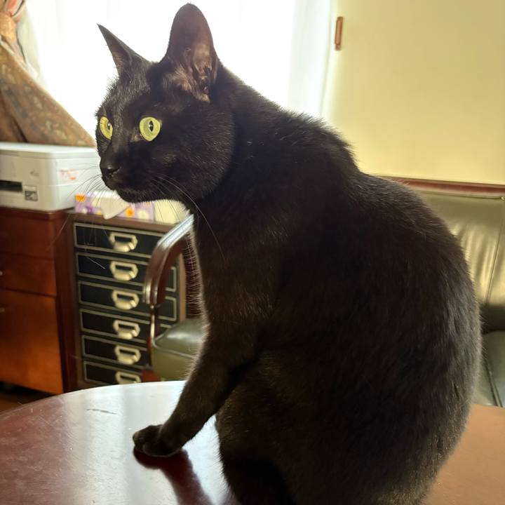 F1aa21f9 6e35 4592 a891 86bcf5c8a5c3 1757631386529