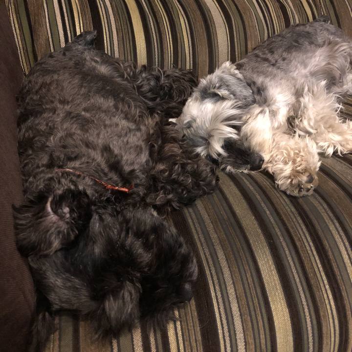 F1aa30c7 3bde 4f19 98e5 bd2055359ec4 1561028896298